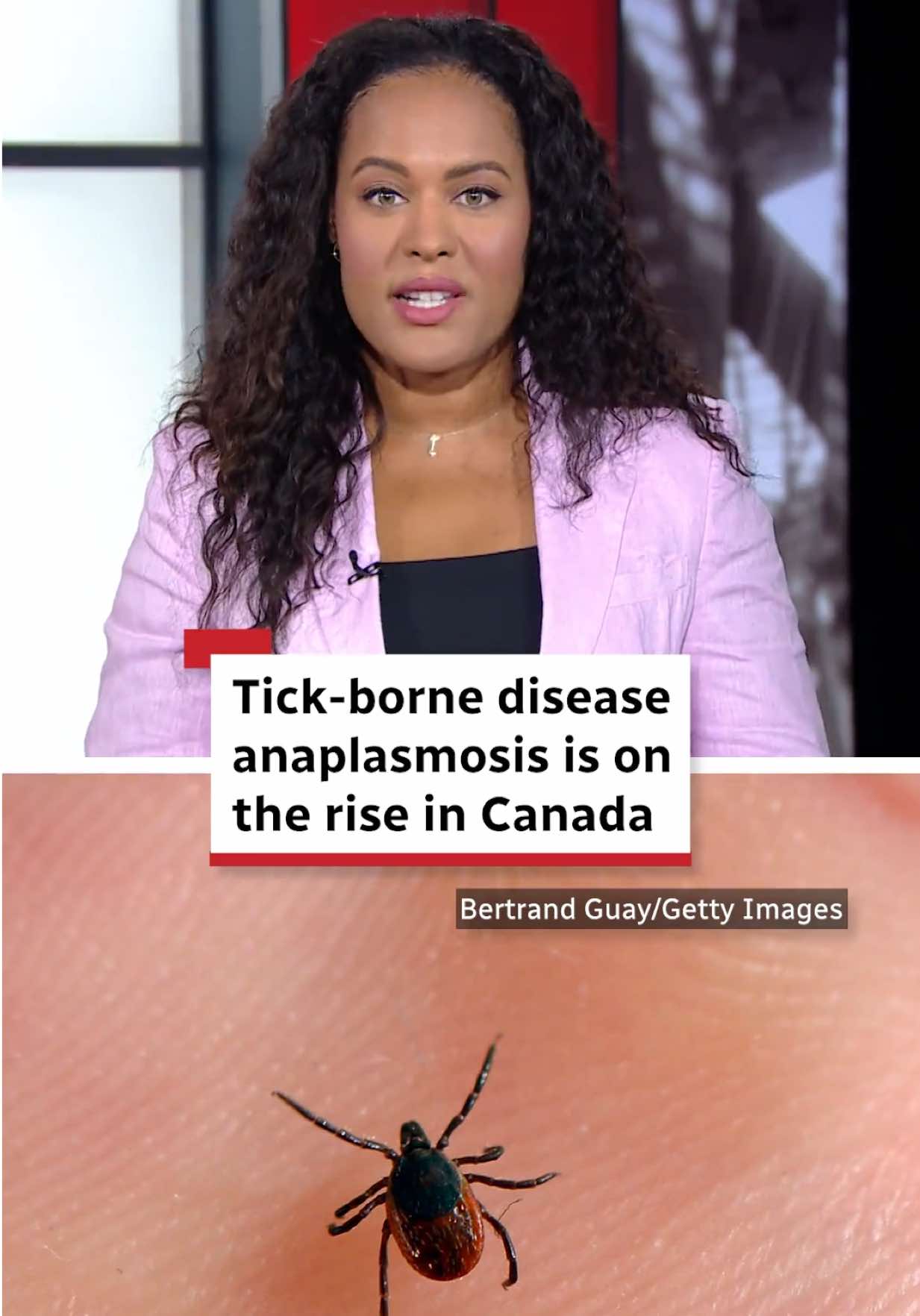 @CBC News