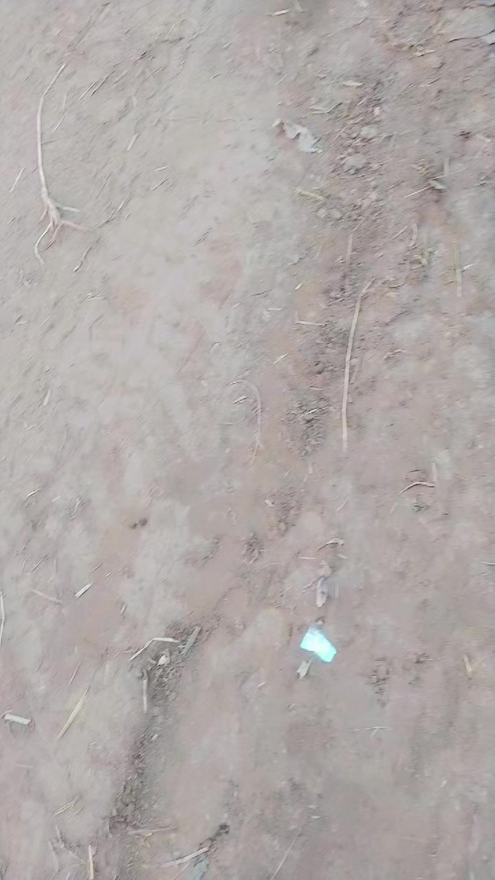 @Haji Rashid Jutt