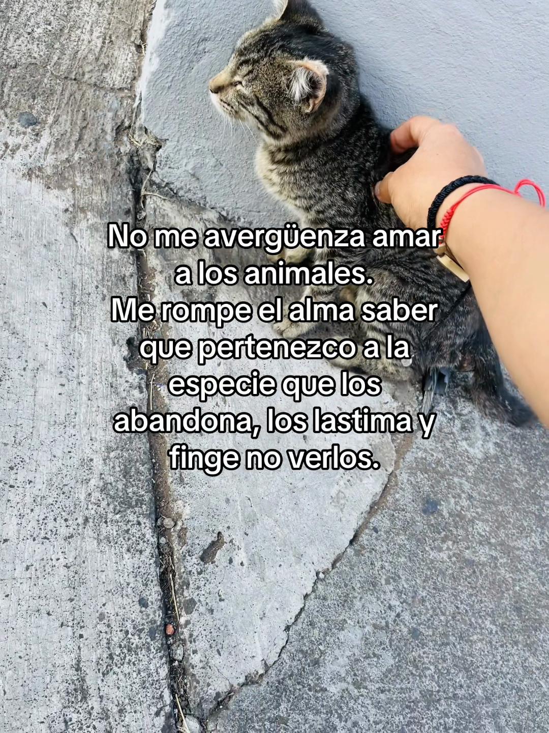 @🐼 Fernanda Rosas 🦋