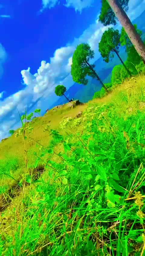 @کشمیر کی شہزادی