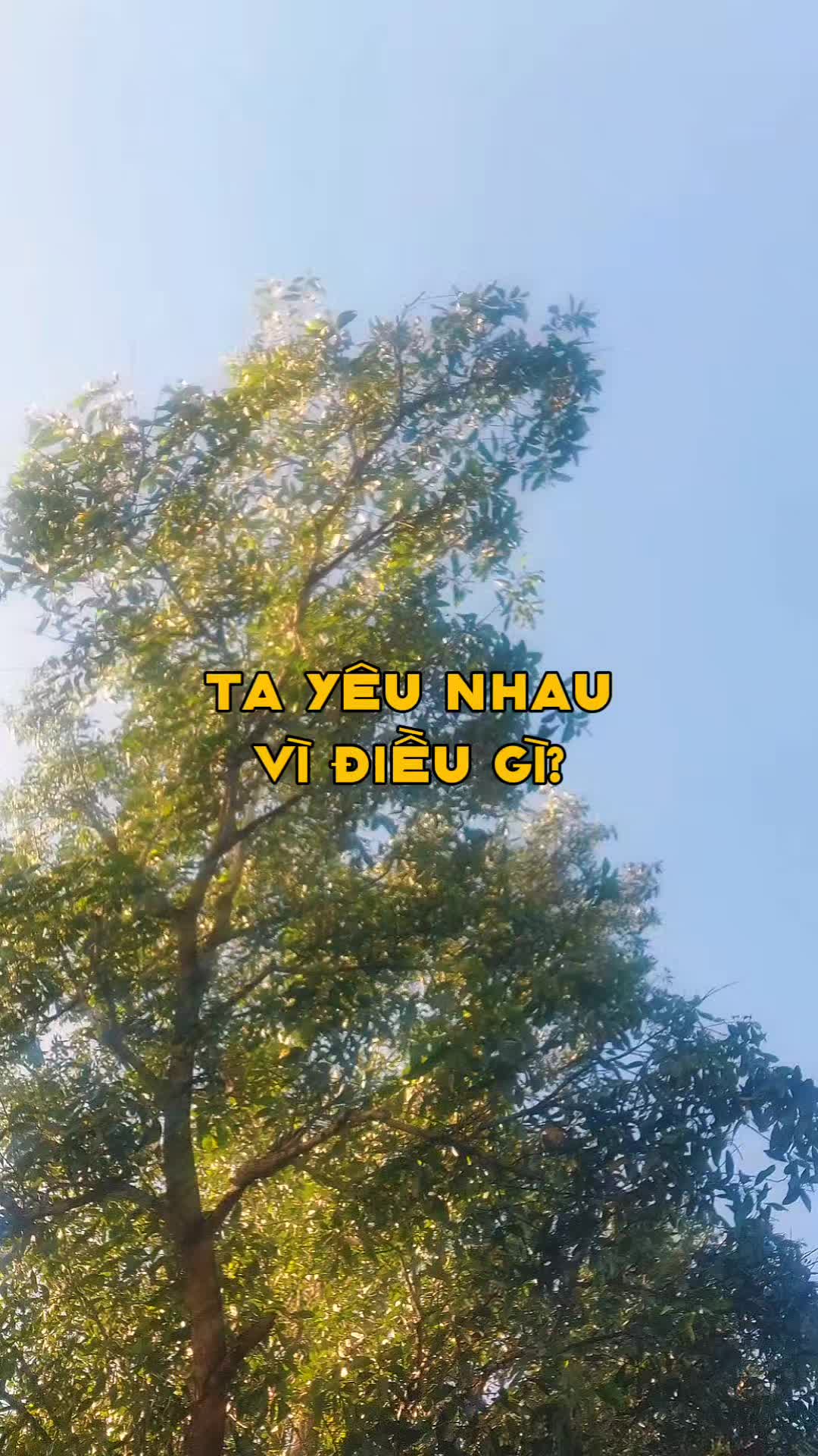 @peaceforyou🌻🌻🌻