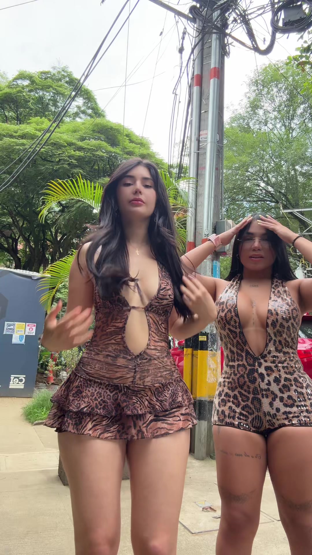 @catsara