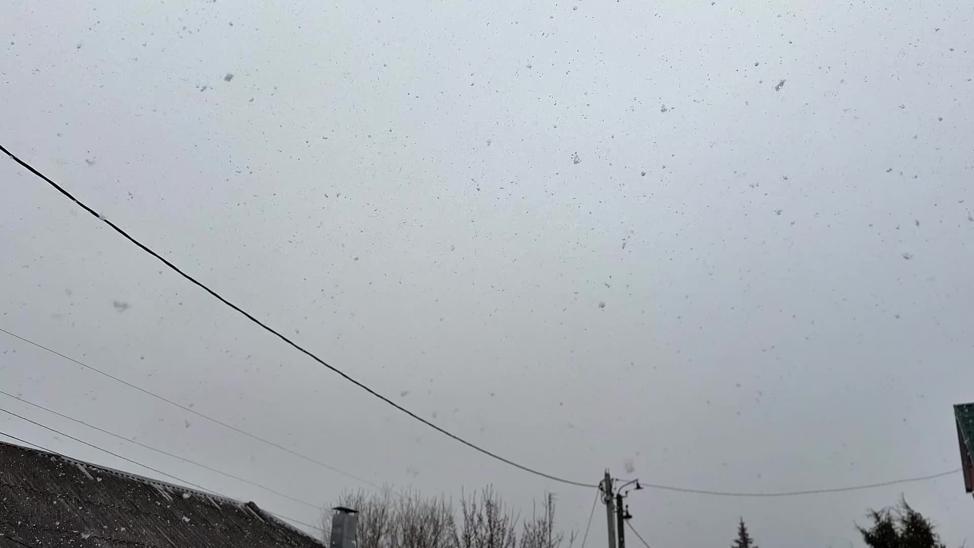 @Просто чел