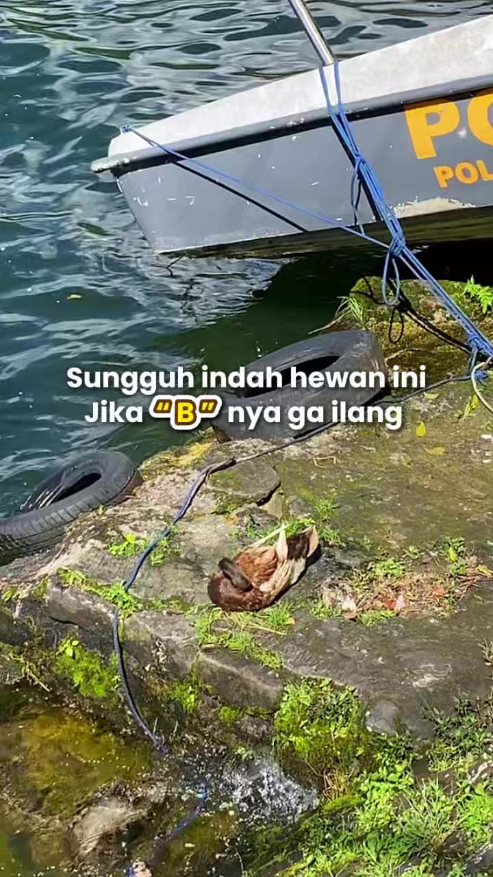 @Arika Sarangan
