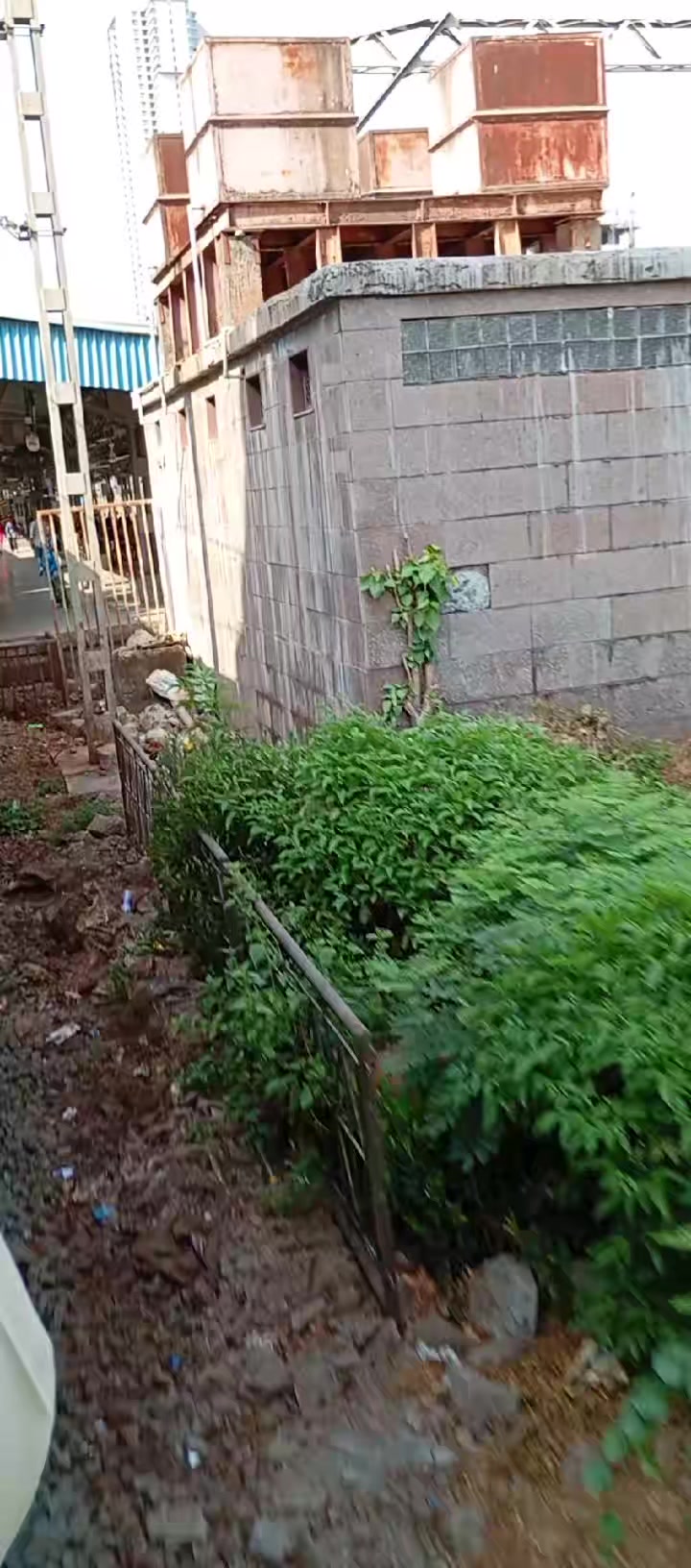 @SHEKH🇮🇳ALI