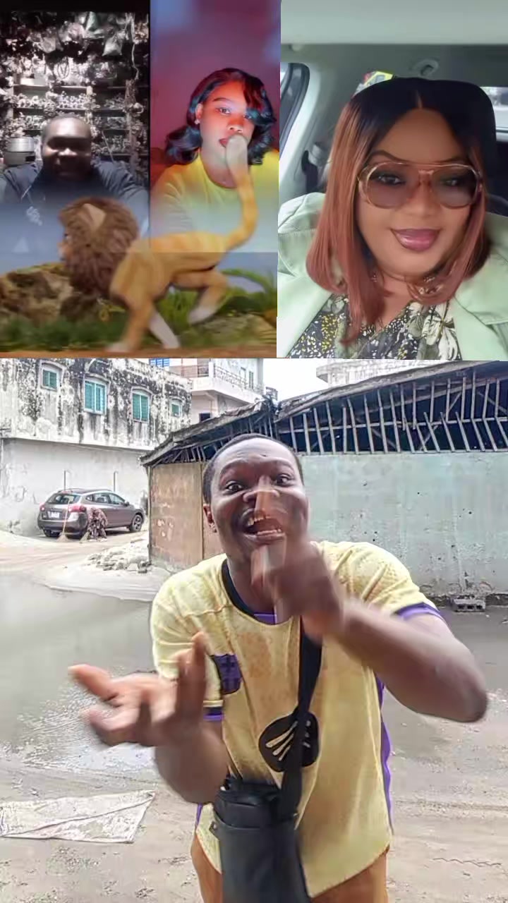 @maobi