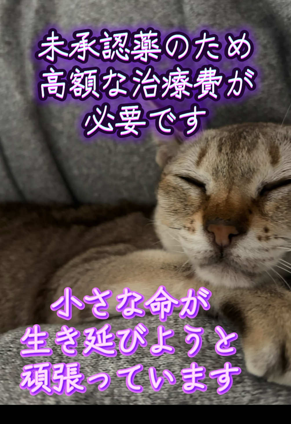 @Singapura_ran