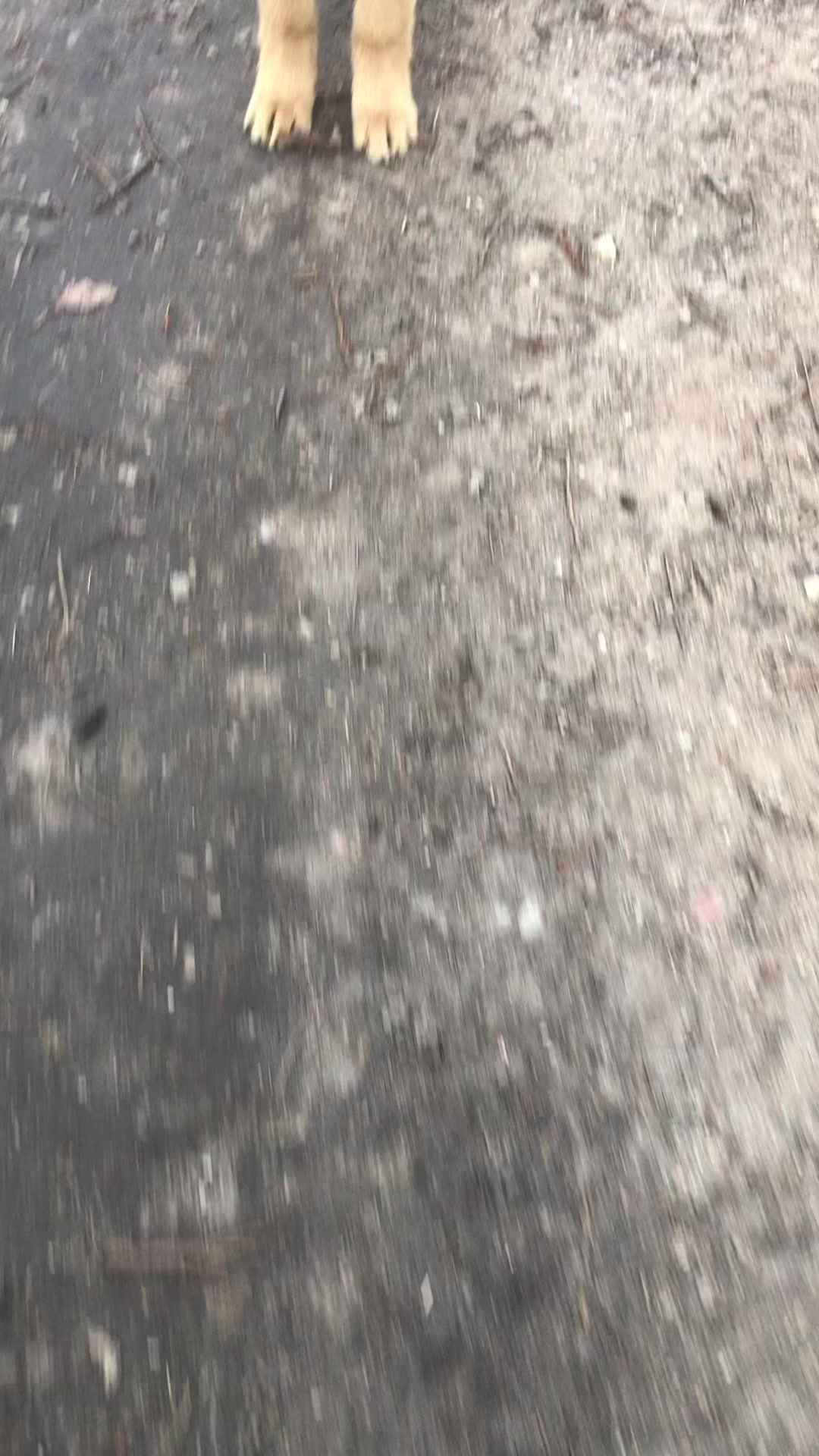 @#вайс