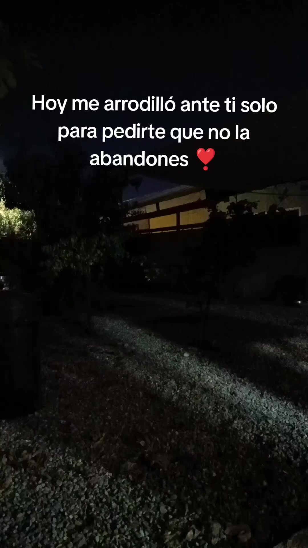 @pauly@_331