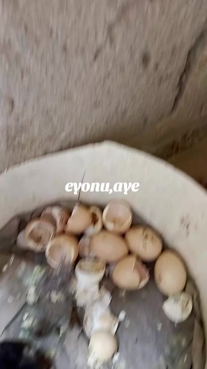 @Dr Omltognu Ogbomnso