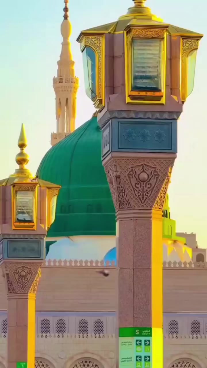 @Safeer Ali