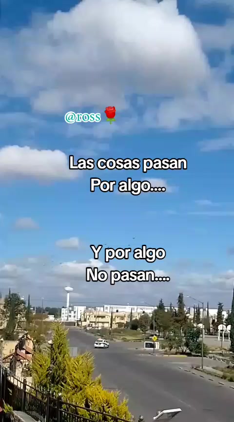 @Ross🌹