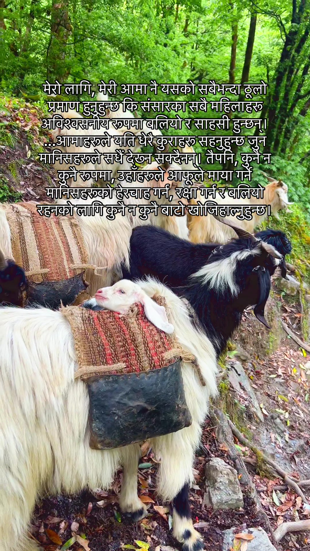 @Parash Khadka ✡️🕉️✨