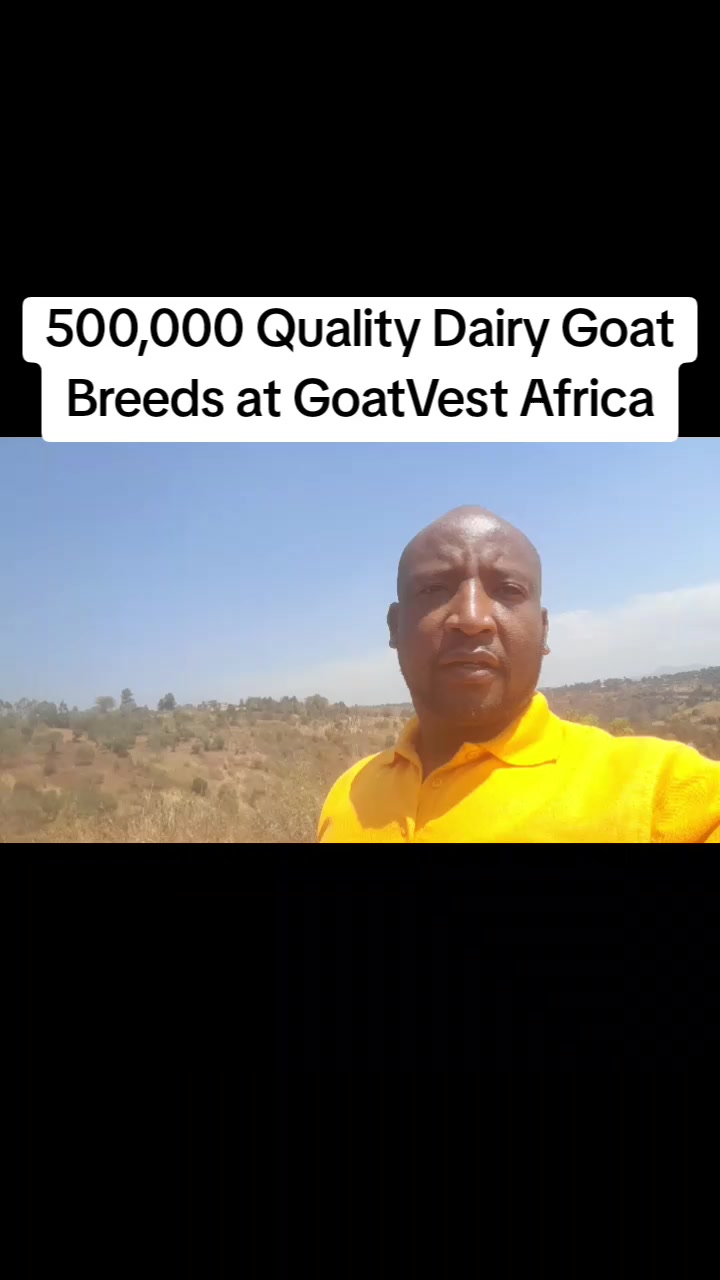 @Sam Kariuki