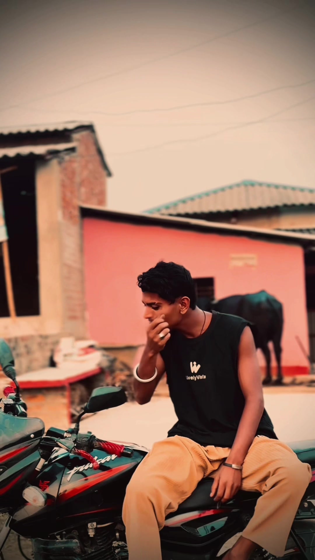 @👑𝑍𝐼𝐷𝐼𝐼*-<3× 