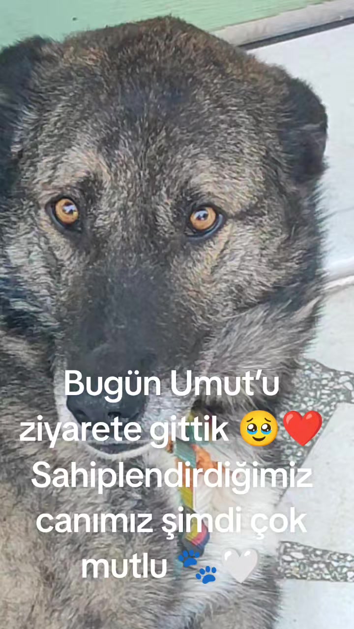 @user00352055Saysun