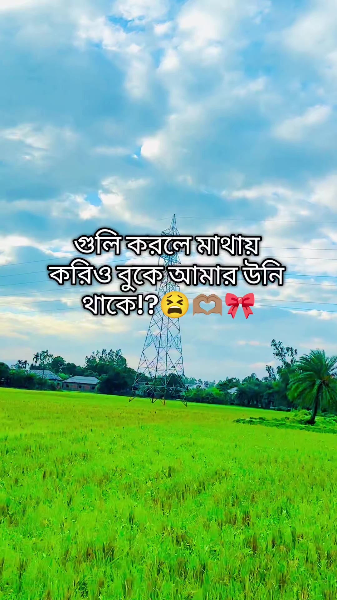 @🦋 ✿ SHAMIM XT ✿ 🦋
