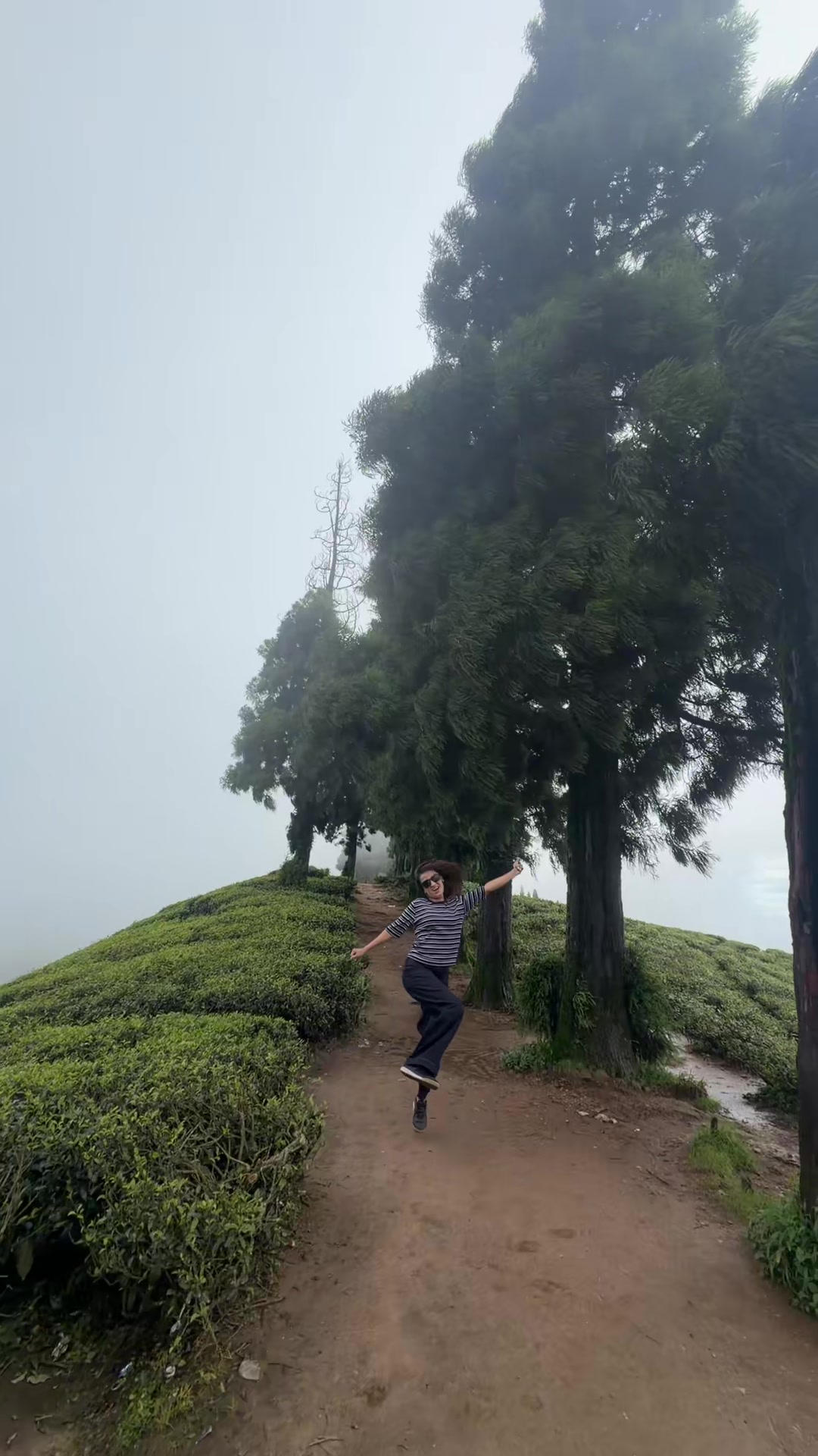 @bipika kausik