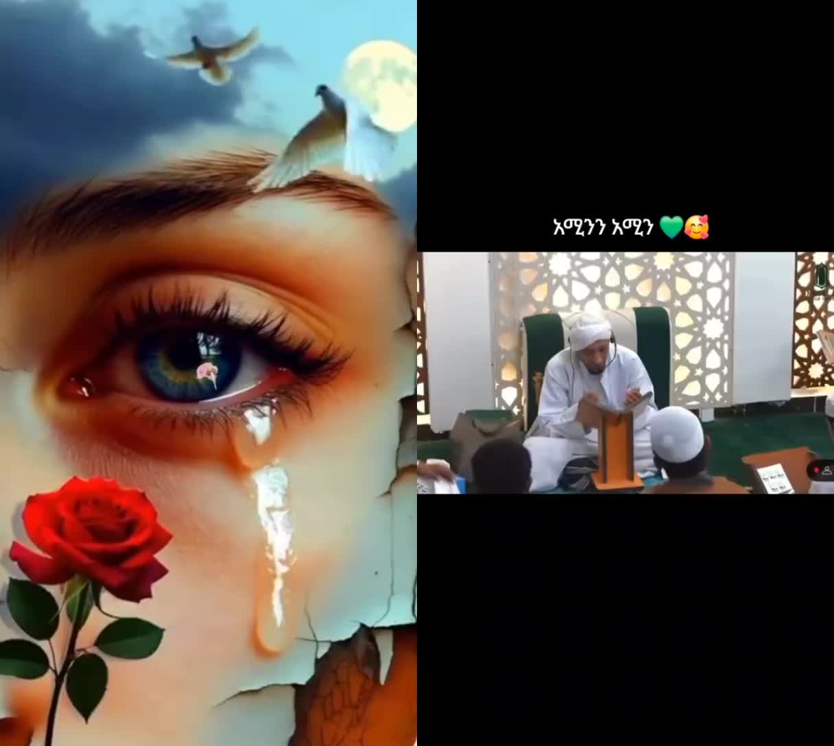 @ሶፊ ያልብኮዎ