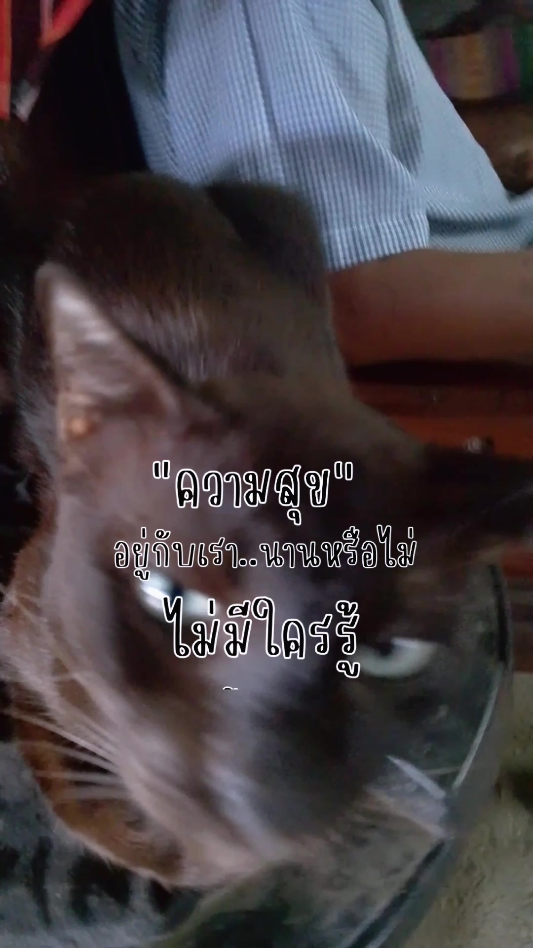 @duangkamol24