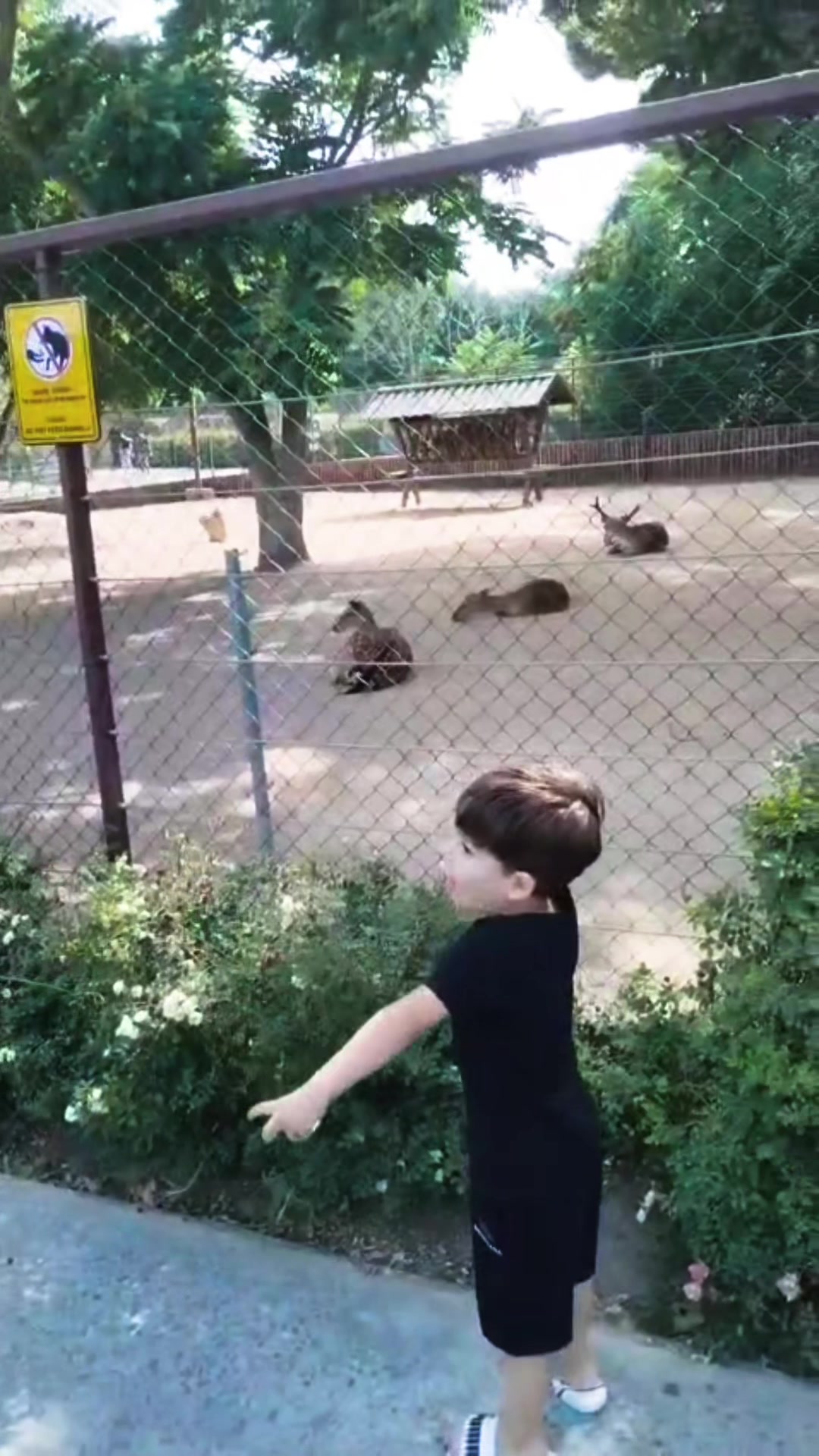 @Eşref Tek 23