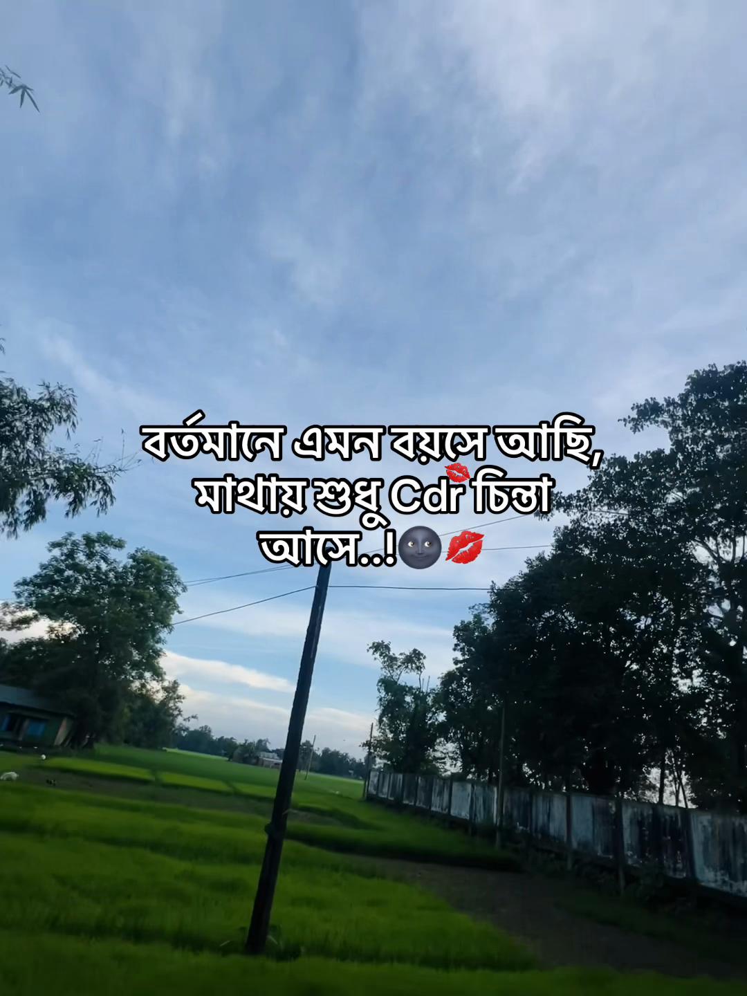 @টিক-টিকি