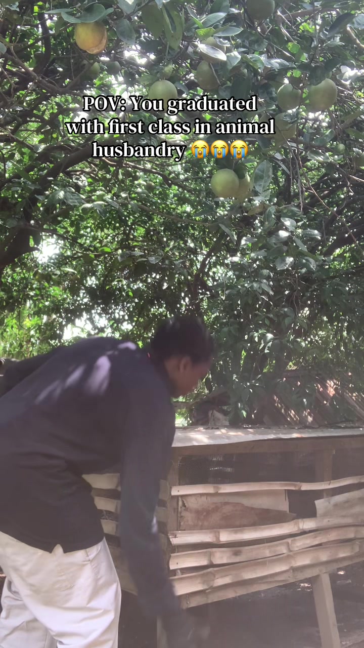 @officialpeedee