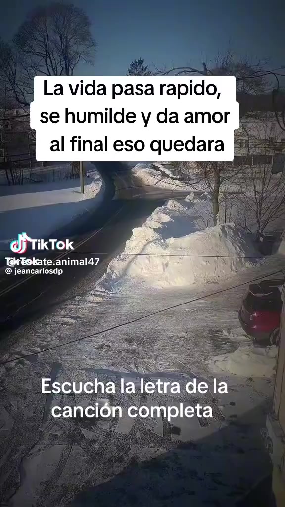 @Guadalupe Manrique