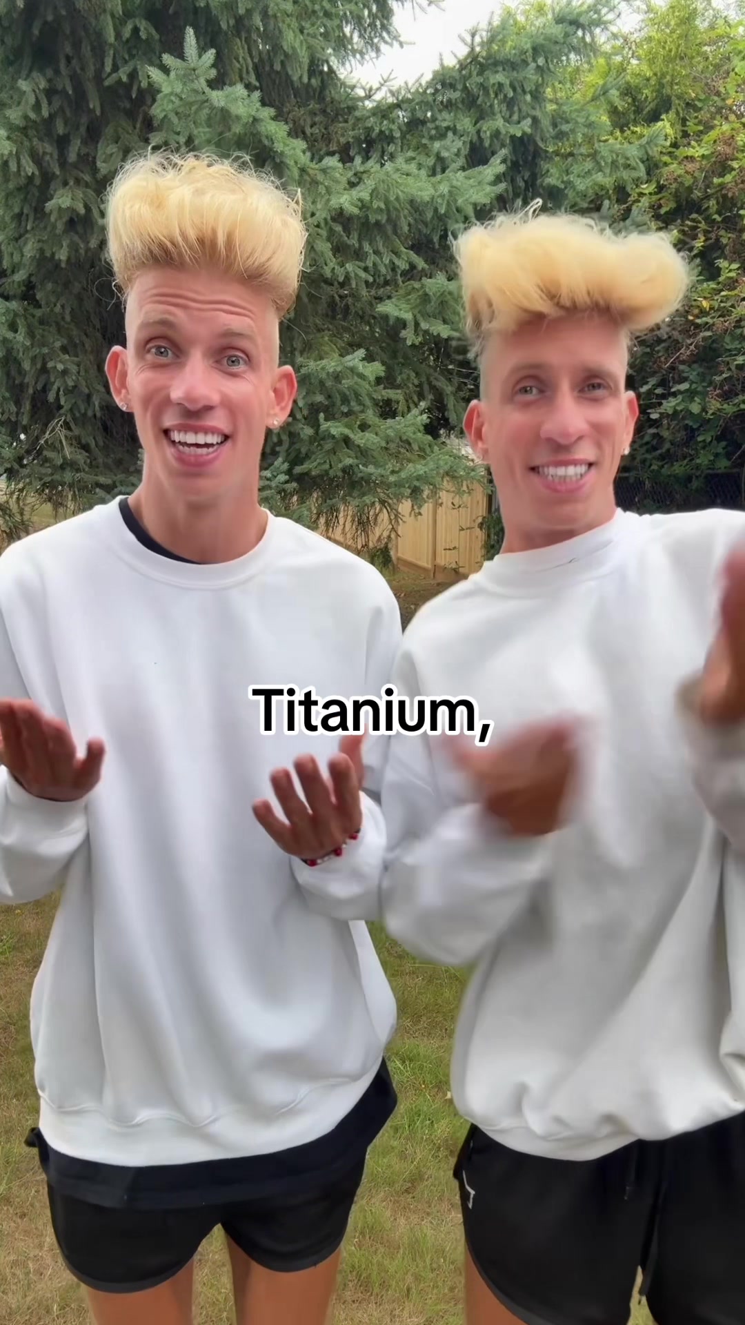 @vorostwins