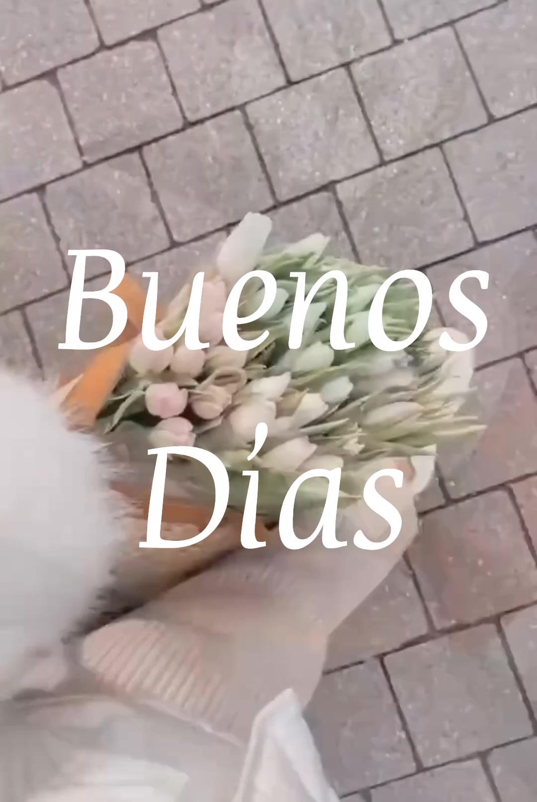@Enma