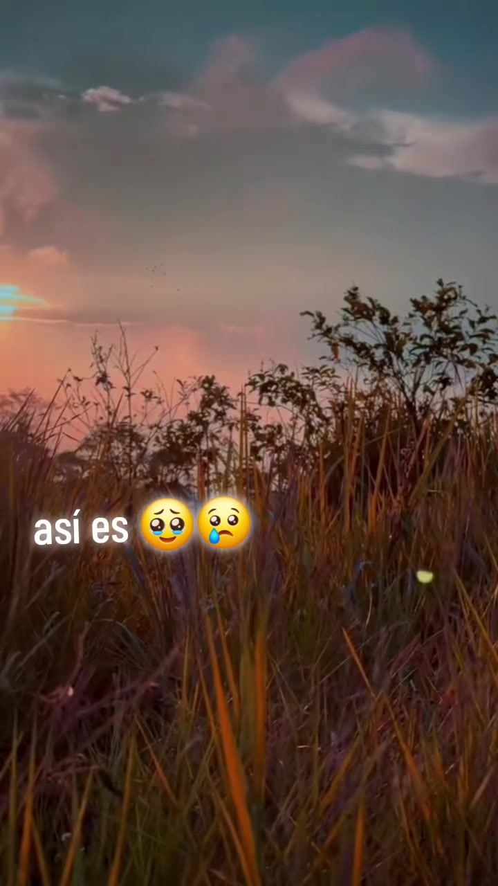 @Merly 😻💖