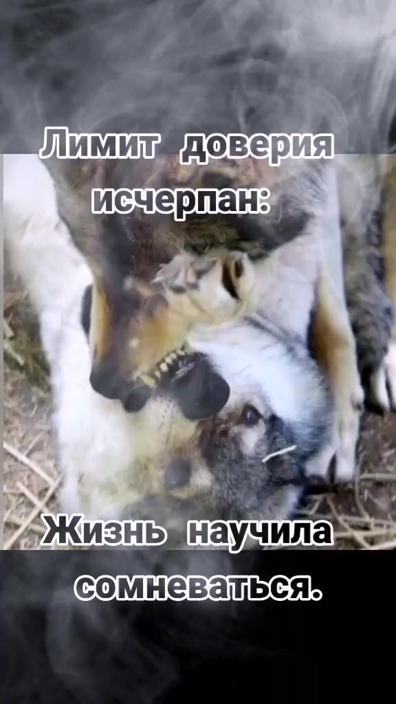 @✸Димон_Волк✸