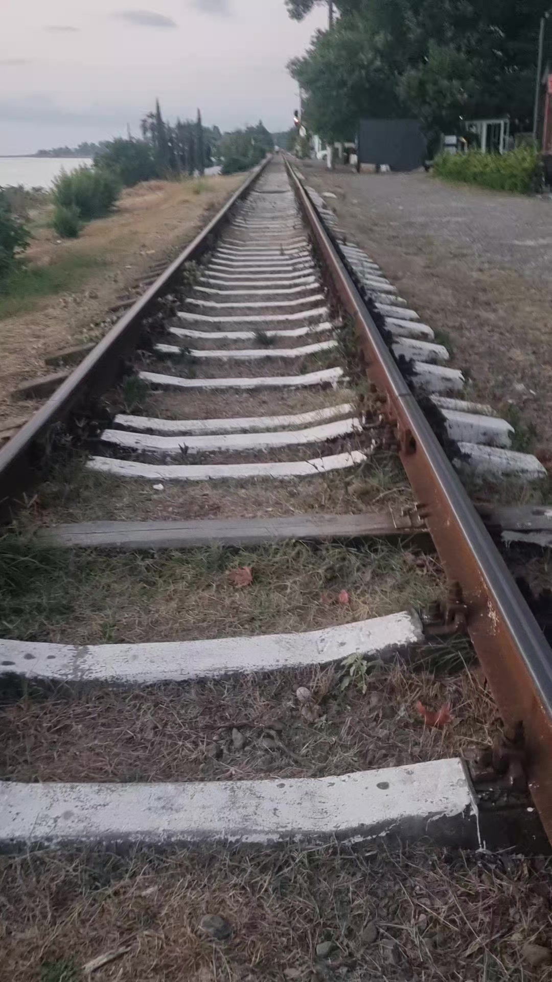 @küsgün 🖤