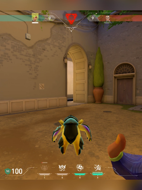 @Flexiblefps