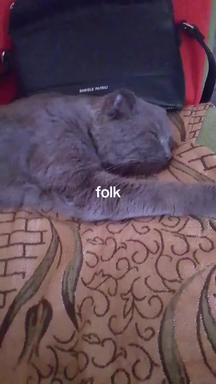 @укротитель отчимов