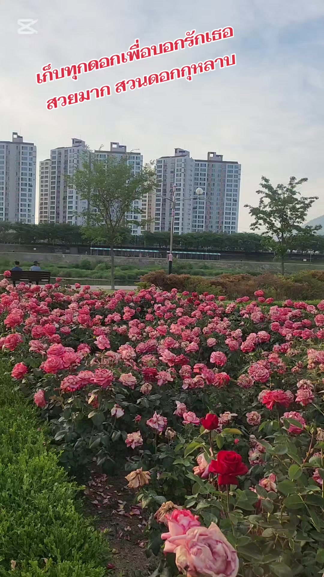@인형