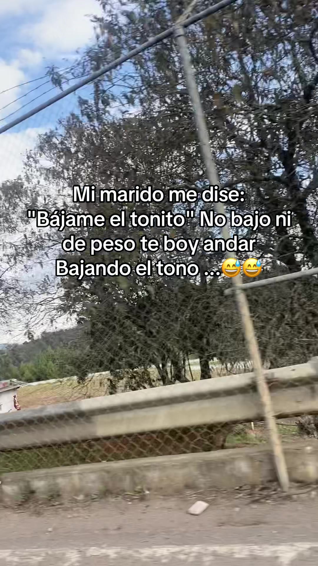 @Fely