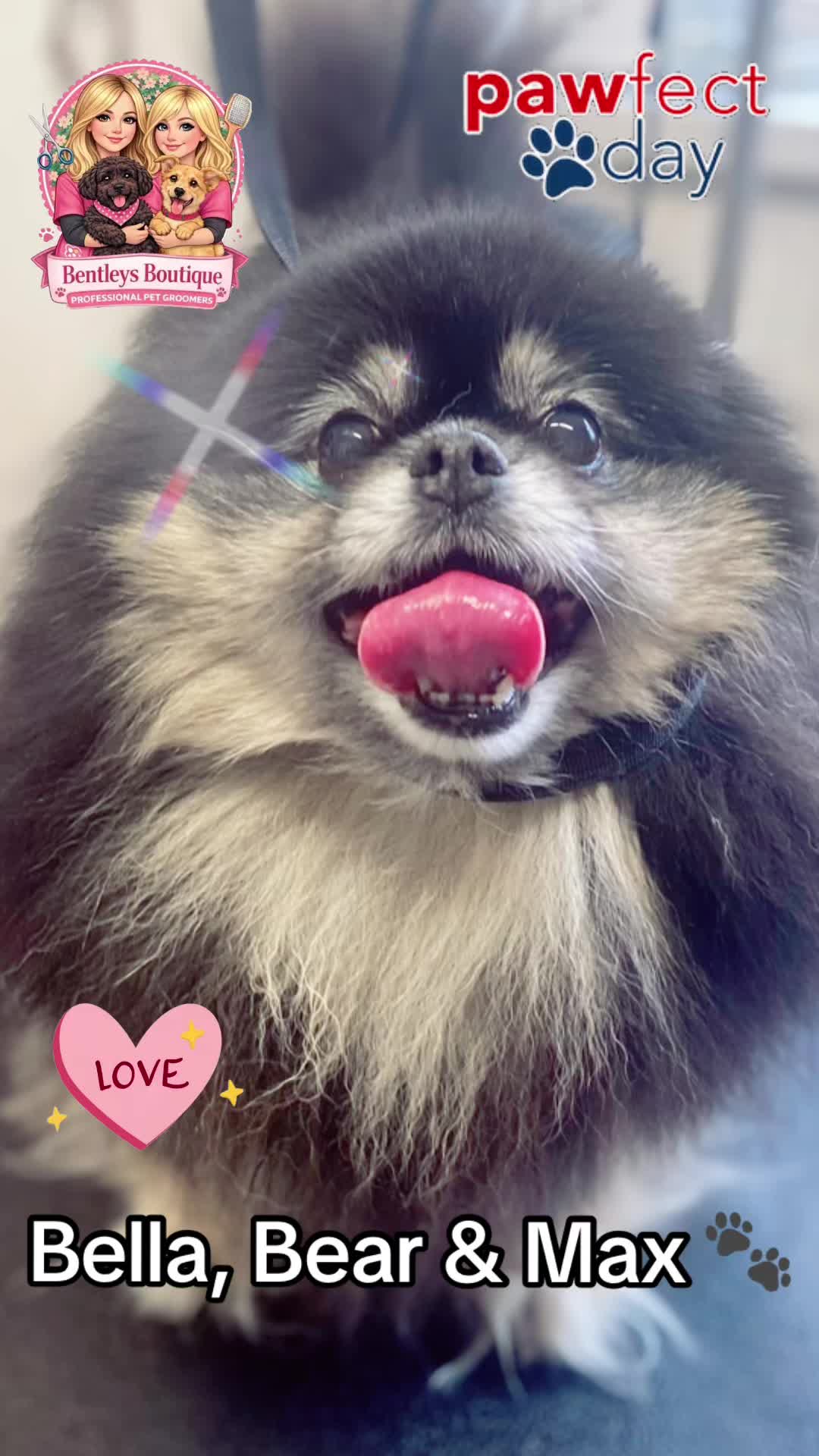 @Bentleys Boutique Pet Groomers