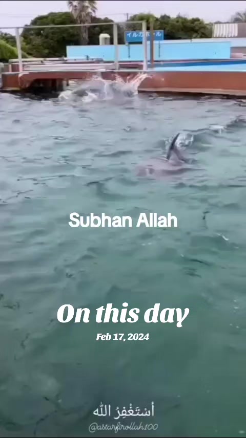 @Mukerem