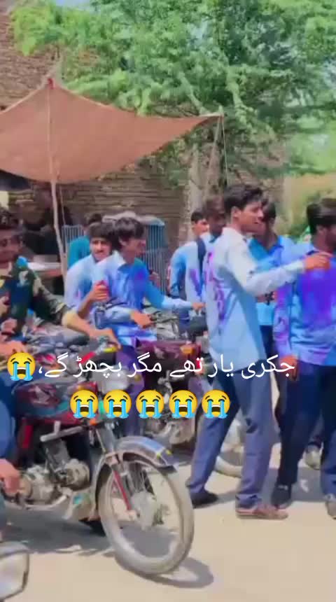 @qalab Abbas 736