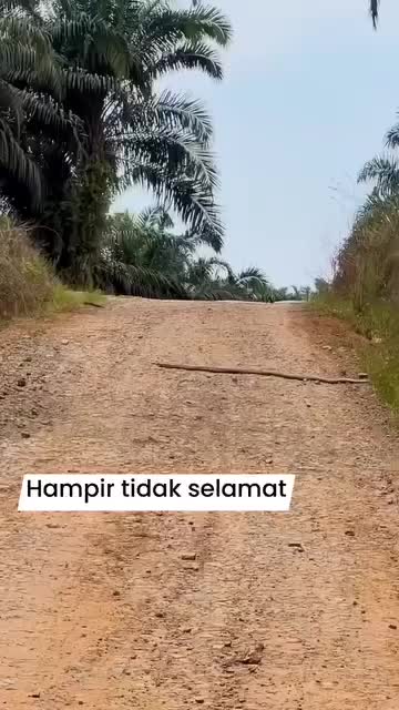 @Alfius,N