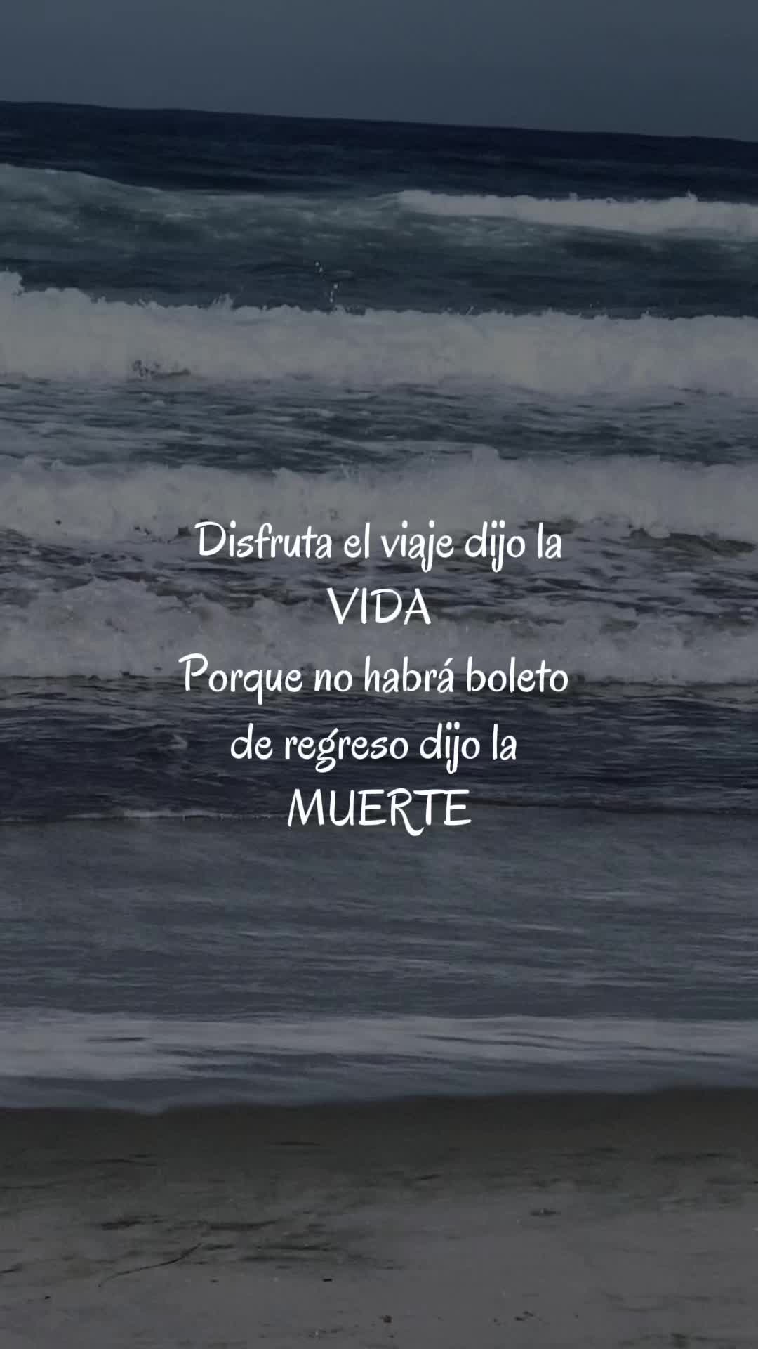@yazita💅🏼