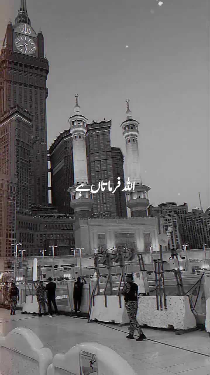 @♥️🕊️