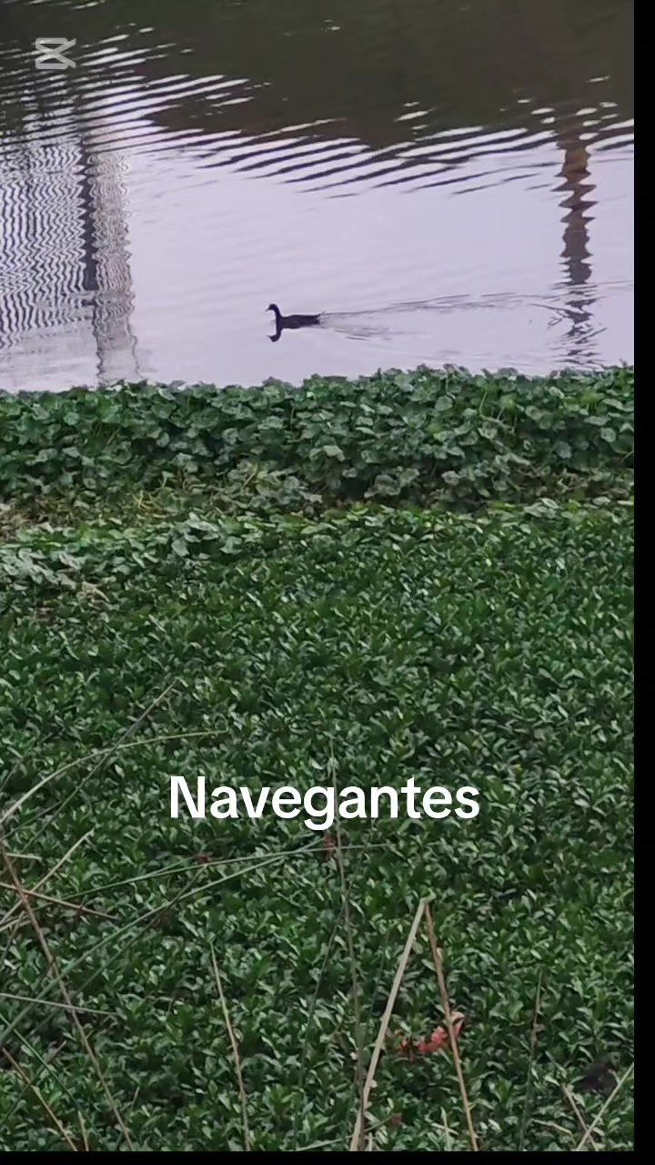 @luisomarfuentesve