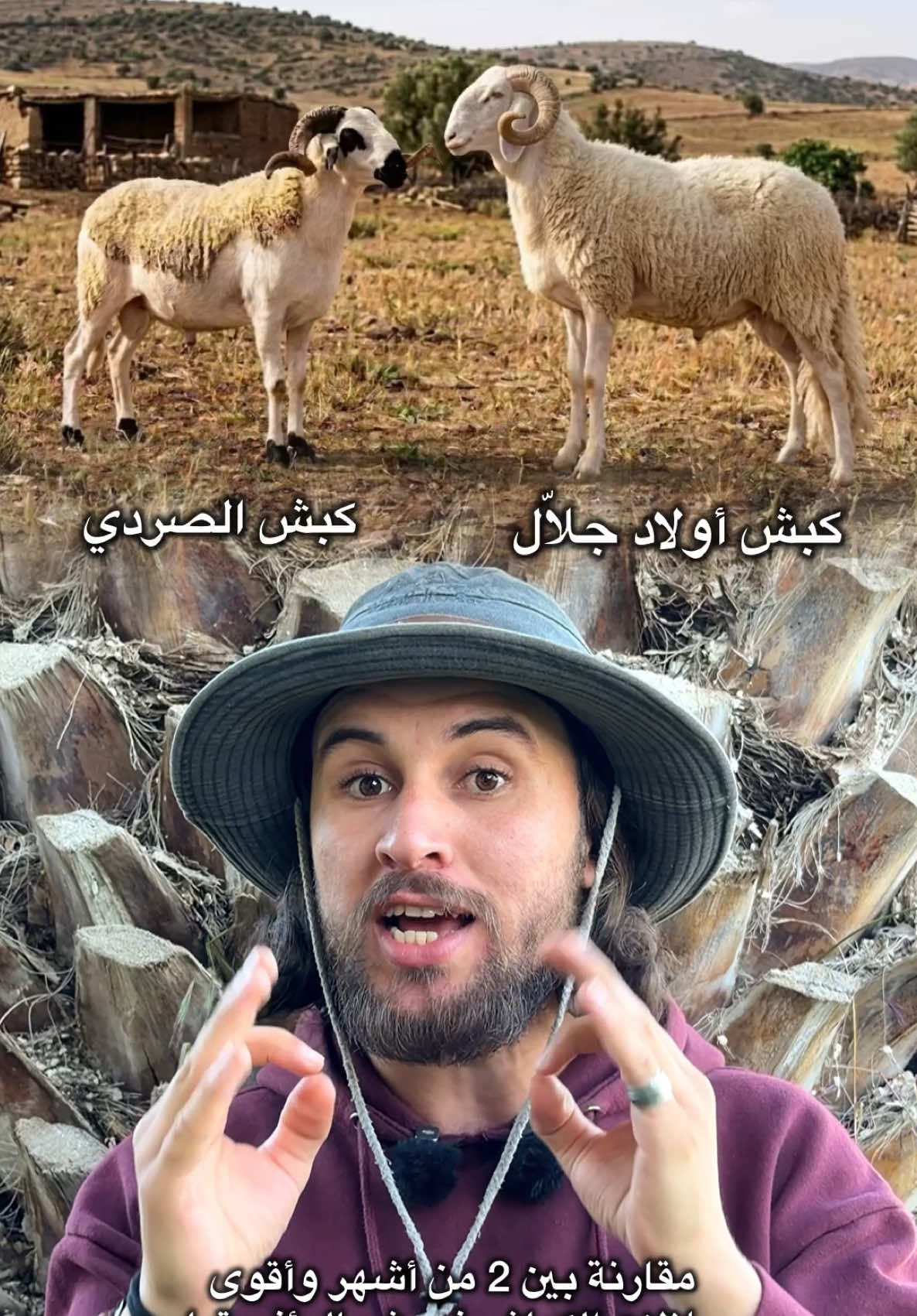@🔘ELJBAILY_الجبايلي