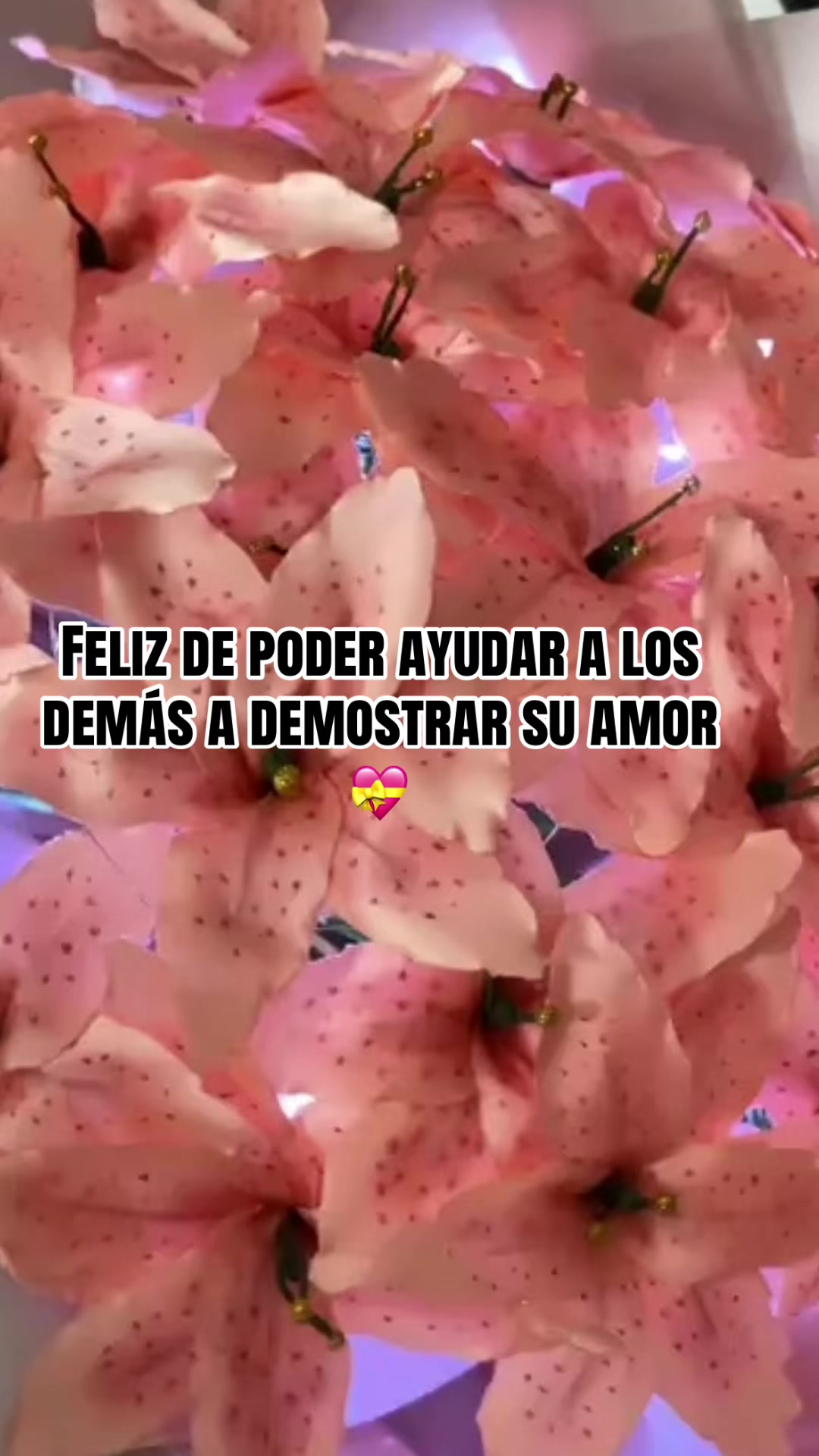 @Karen Viviana