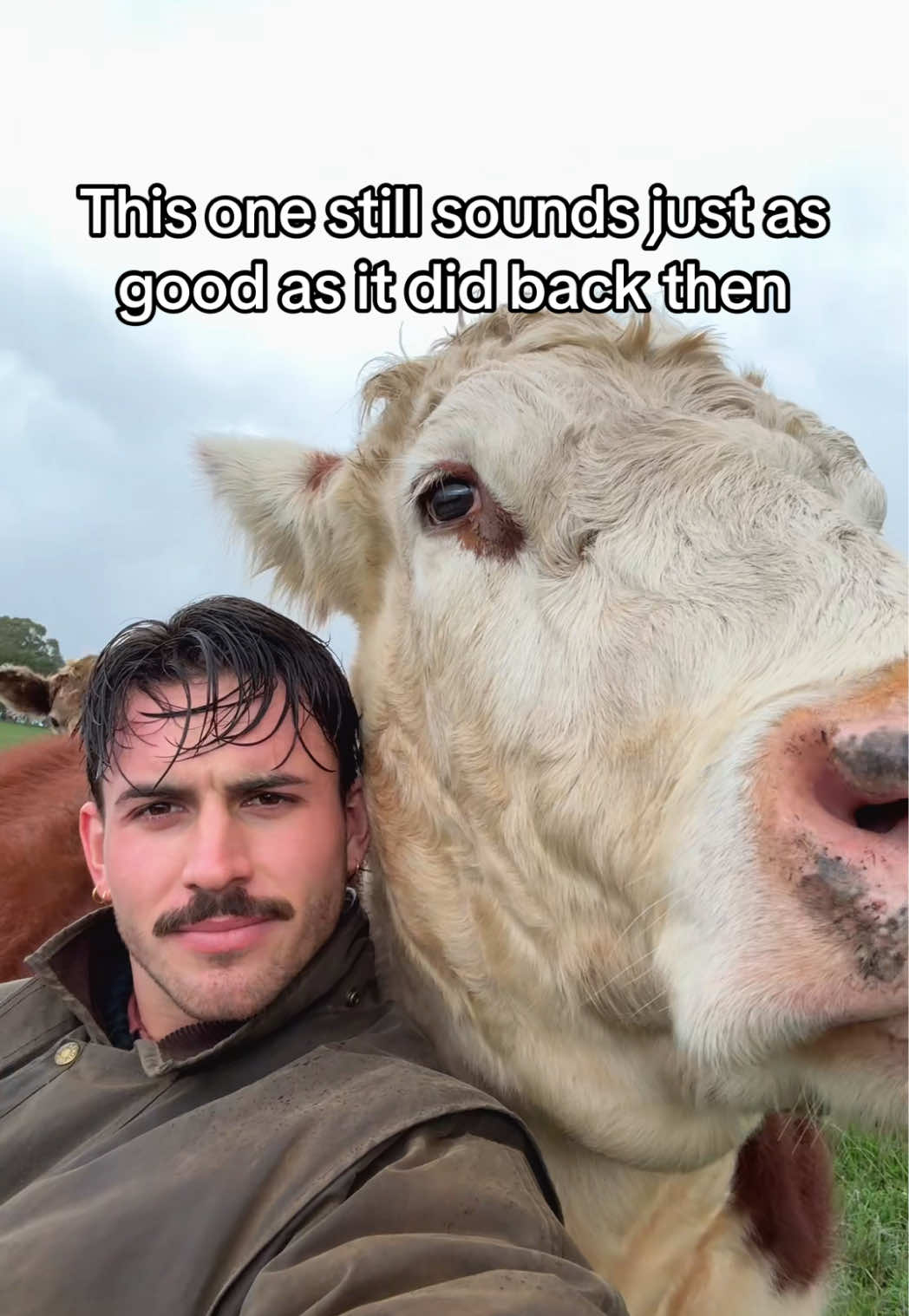@Liam 🤠