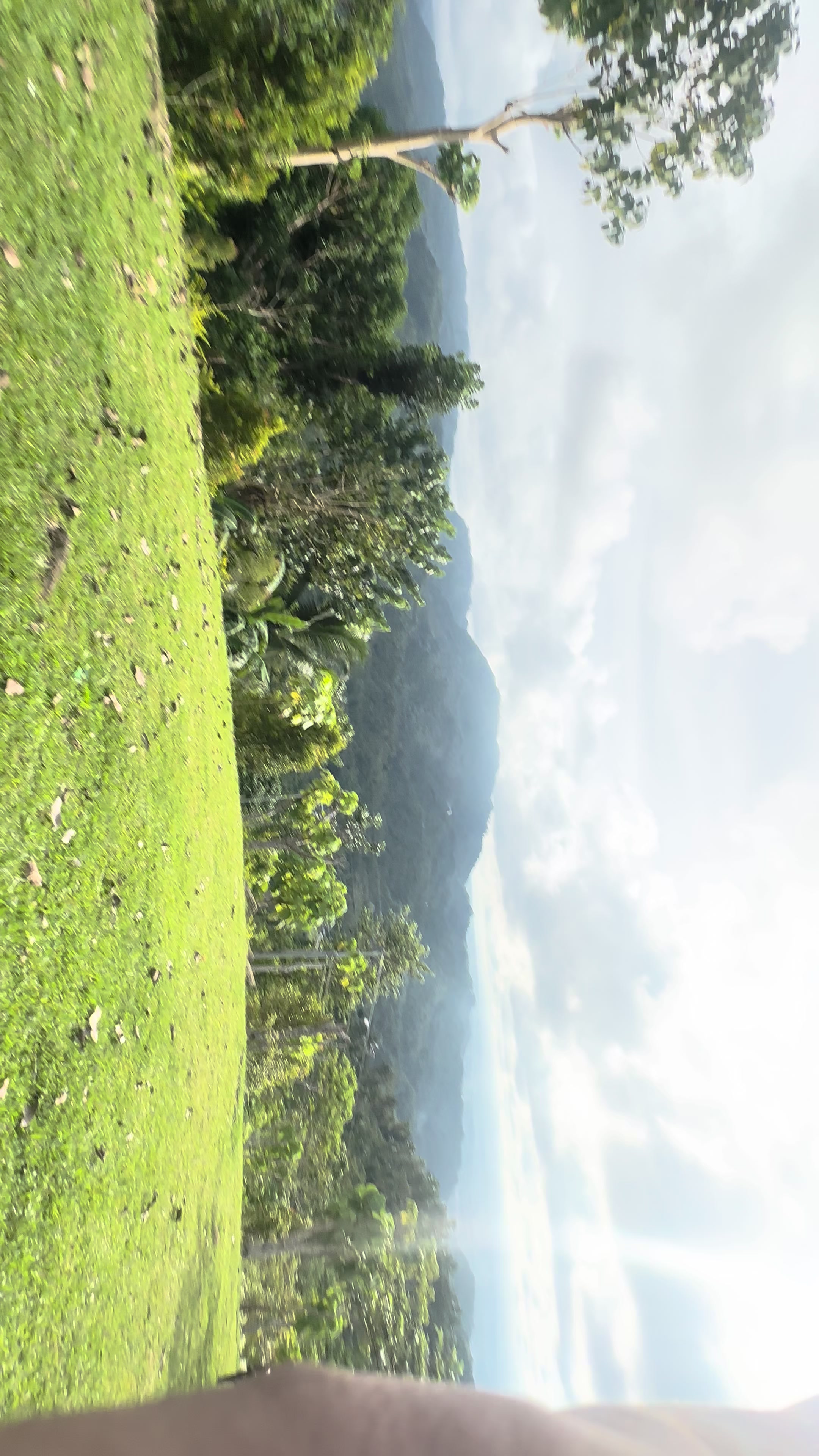 @𝘊𝘈𝘙𝘌𝘕𝘓𝘉