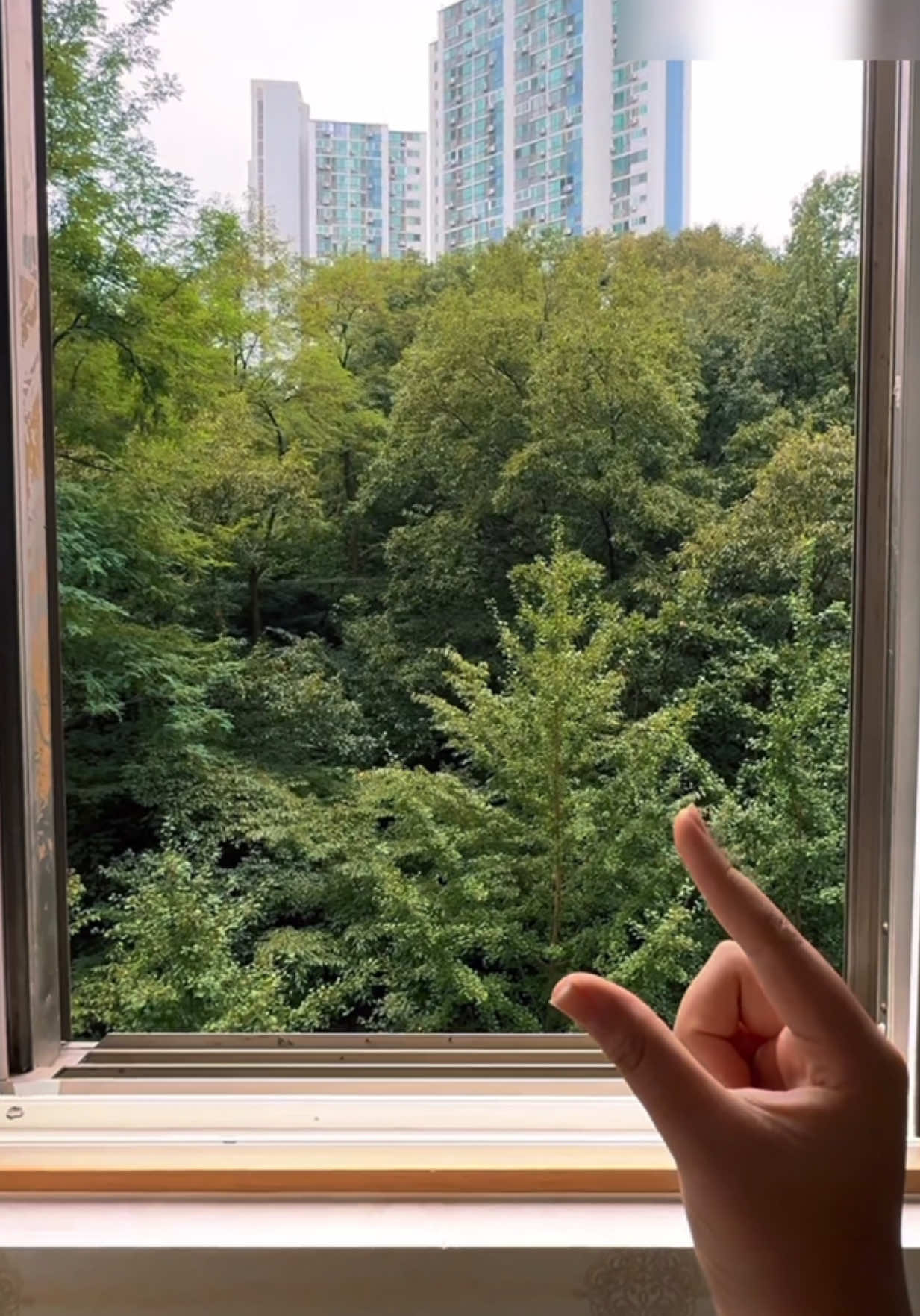 @유총