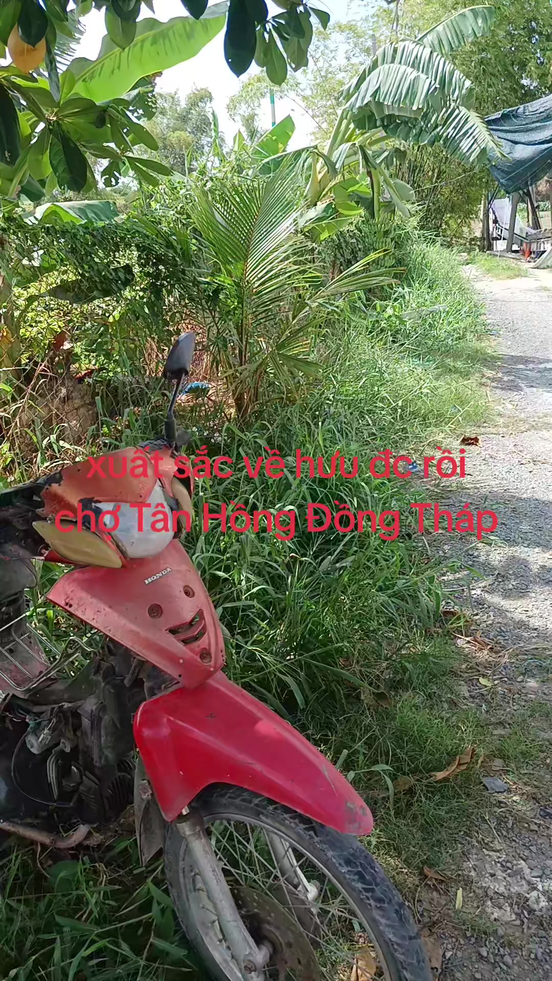 @CKP